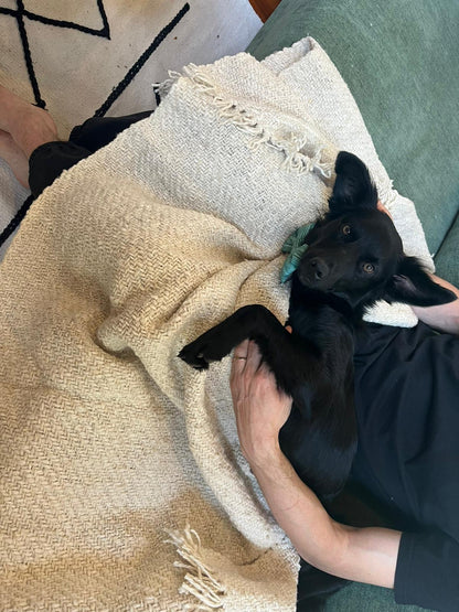 ふわふわで肌触りがいい〜羊毛100%ブランケット